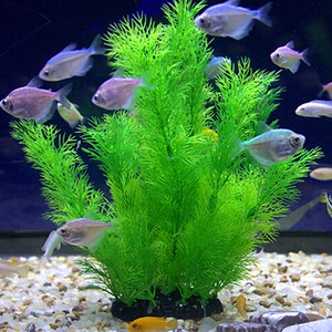 鱼缸内装饰品 水族箱造景仿真水草套餐 假海草景观布景素材鱼草