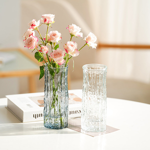 玻璃花瓶透明插花水养鲜花富贵竹花瓶轻奢高级感客厅桌面装饰摆件