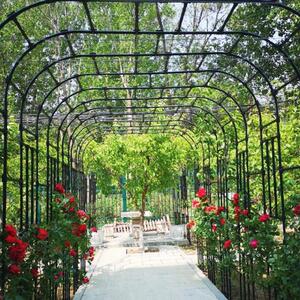 花园装饰拱门花架铁架子类盆景铁艺拱形爬藤架花廊楼顶落地田园