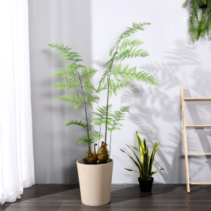 植物生命素淘宝蕨类专用肥桫椤肥料铁线蕨有机肥金丝蕨营养液狗毛蕨