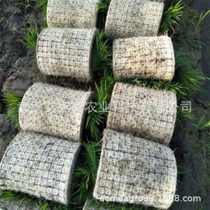 麻纤维水稻育秧农膜可降解水稻育秧毯水稻毯状基质