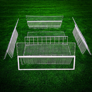 鸽子舍自动捕鸽神器跳笼鸽笼跳门只进不出信鸽撞笼天落笼撞门1.