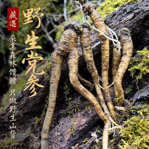 藏遇 西藏林芝纯天然野生党参高海拔党参干货精选168g包邮
