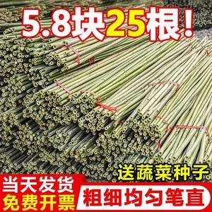 竹竿菜园搭架蔬菜黄瓜番茄豆角架杆竹篱笆栅栏小竹子细竹竿葡萄架