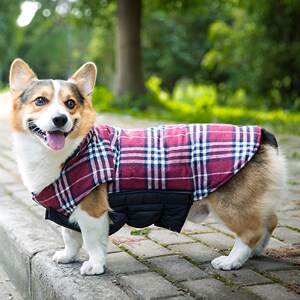 中型犬柯基衣服秋冬装狗狗衣服法斗牛犬可卡犬英斗马甲棉背心棉服