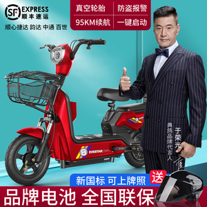 山地电动自行车双人