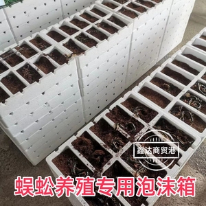 养蜈蚣泡沫箱养殖盒子设备孵化器苗装神器工具专用的板人工饲养种