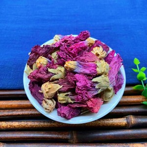 木芙蓉中药野生