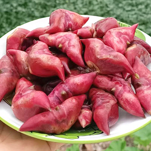 菱角现摘生吃水果安徽安庆特产蔬菜老菱角菱角米黑凌角红棱角新鲜