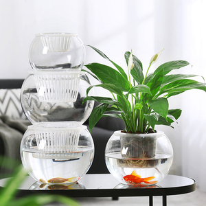 简约现代水培植物玻璃花瓶水养绿萝绿植插花器皿客厅桌面装饰摆件