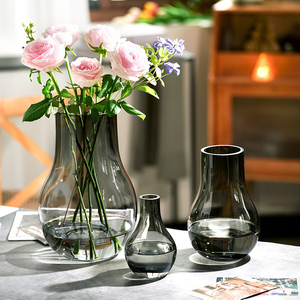 客厅花瓶摆件轻奢创意玻璃水养鲜花富贵竹花器高级感餐面插花装饰