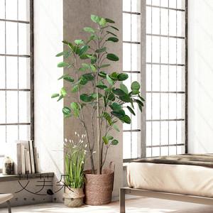 大型仿真落地植物金钱树盆栽圆叶发财树北欧风假树室内装饰摆件