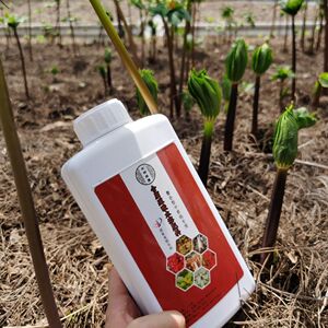 包邮中研乐康重楼专用肥腐植酸叶面肥水溶肥1瓶十亩地1000毫升/瓶