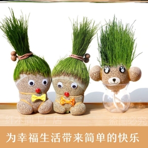 头上长草的娃娃抖音电脑桌秃头桌面净化空气观察小草发芽宝宝绿草