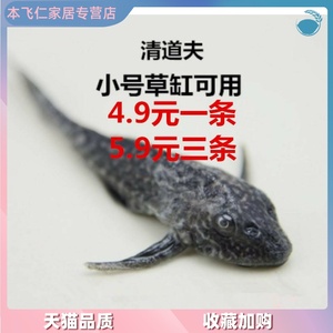 【清道夫蛋】清道夫蛋品牌,价格 - 阿里巴巴