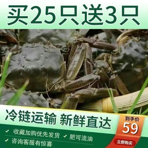 【六月黄螃蟹】28只装三元蟹鲜活大闸蟹小螃蟹河蟹毛蟹香辣蟹