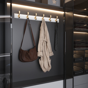 进门衣柜衣服门后挂钩壁挂墙壁衣帽钩入户门挂衣钩玄关免打孔排钩