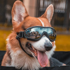 宠物太阳眼镜墨镜狗狗外出坐车防风防尘眼罩用配饰柯基金毛护目镜