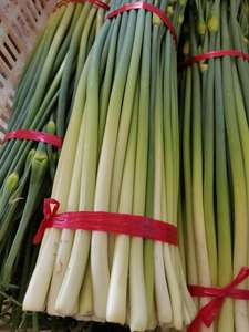 湖北农家蒜薹本地新鲜洋蒜苔手工划苔大蒜心 粗蒜毫现摘现发3斤