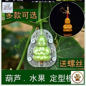 葫芦模具生长定型定形农场塑型造型特大果园水果种植全套果农形状