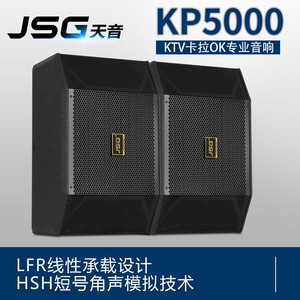 JSG KP5000卡包音箱/KTV卡拉OK专业音响/会议舞台演出/进口单元版