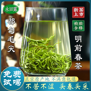 贵州都匀毛尖2024新茶特级春茶茶叶绿茶日照充足绿茶自己喝青茶叶