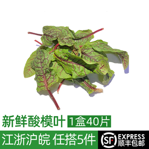 新鲜酸模叶40片 食用红酸膜草 酸膜叶 酒店西餐日料摆盘装饰花草