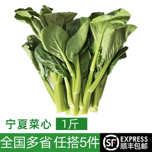 新鲜宁夏菜心500g 供港菜心苗菜杆菜苔小青菜绿色蔬菜 满5件包邮