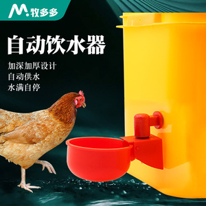 鸡用饮水碗鸡鸭鹅家禽自动饮水器鸽子喝水碗小鸡雏鸡鹌鹑饮水器材