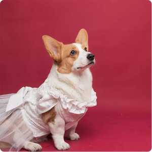 狗狗衣服柯基宠物婚纱裙子狗狗猫咪公主裙结婚礼服蓬蓬裙写真衣服
