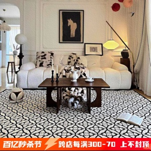 2024新款法式客厅复古高级感黑白中古之家地毯卧室床边毯免洗轻奢