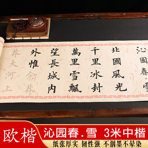 沁园春雪书法描红