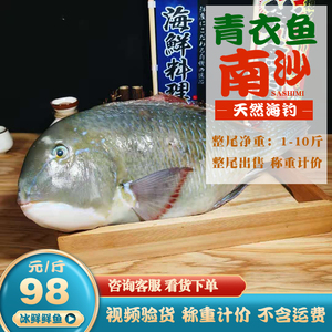 【大青衣鱼】大青衣鱼品牌,价格 - 阿里巴巴