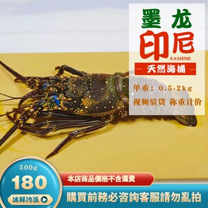 杉龙墨龙游龙印尼天然鲜活海捕新鲜水产冷冻水产海鲜姿造大龙虾