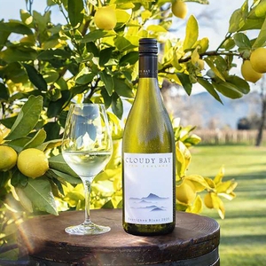 cloudy bay云雾之湾长相思干白葡萄酒750ml 新西兰原瓶进口2020年