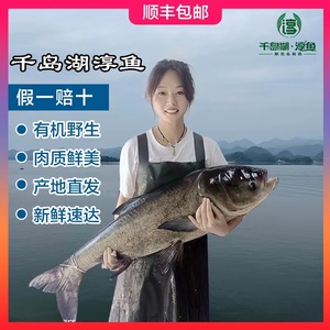 千岛湖淳鱼指定经销商图片