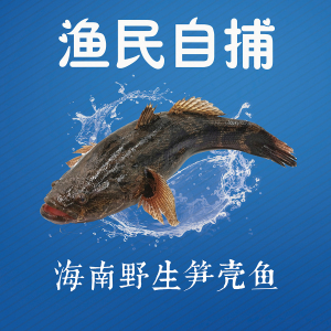 00谢春妮009淘宝南海三沙 远海野生海鱼杂鱼黄立鱼青衣鱼石斑鱼新鲜