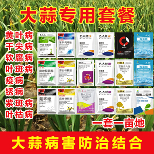 大蒜专用高产三遍套餐增产膨大根茎锈病黄叶病干尖烂根病专用