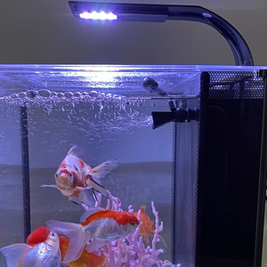 小鱼缸鸭嘴口出水增氧出泡泡侧过滤充氧配件背过滤增氧头无电增氧