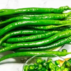 云南青线椒当季新鲜蔬菜农家自种不辣辣椒新鲜薄皮青椒正宗