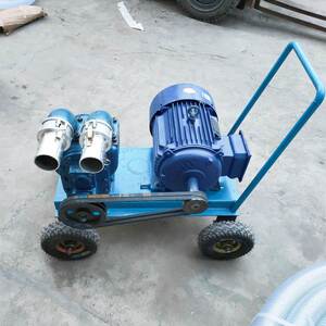 抽粪泵养殖场专用吸粪机抽猪粪鸡粪鸭粪化粪池清理排污泥浆渣浆泵