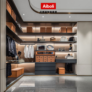 图森整木定制美式衣帽间开放式衣柜定制一门到顶柜子实木卧室轻奢