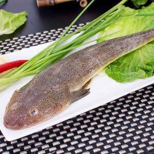 新鲜辫子鱼一斤约2条鲬鱼拐子鱼海鱼连云港特产鱼狗腿鱼