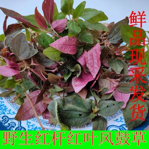 【褚红色】褚红色品牌,价格 - 阿里巴巴