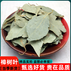 樟树药材
