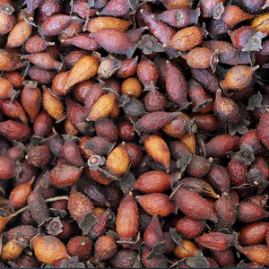 正宗野生金樱子肉干货干男性泡酒泡茶中药材山石榴刺梨子芡实无硫