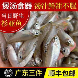 亚鱼营养煲汤小海鱼潮汕海鲜水产鲜活冷冻海捕生鲜新鲜杉马鱼30人付款