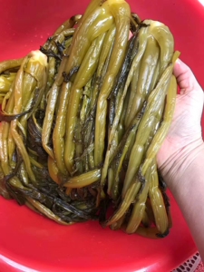 xiangju_11淘宝梅州客家特产大埔农家自制食用水咸菜老坛苦笋酸菜