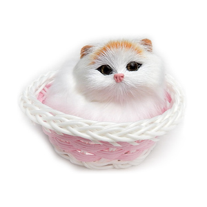 小奶猫儿童静态模型可爱的布猫咪娃娃毛绒可爱宠物七夕袖珍