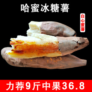 哈密冰糖薯新鲜白心蜜薯板栗薯糖心红薯超甜农家自种沙地番薯10斤